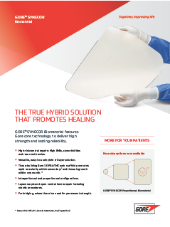 Hernia Mesh Product Flyer