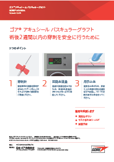 フライヤー 穿刺の3つのポイント 2023