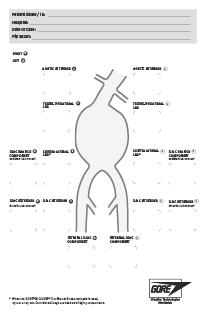 Case Planning Form