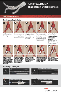 Wall Chart - Portuguese